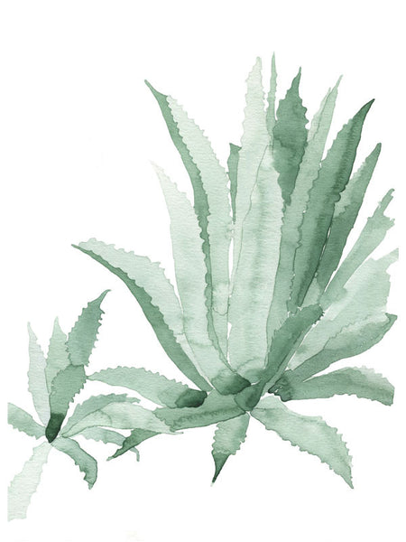 Agave I Print