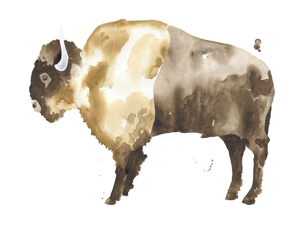 Bison Print