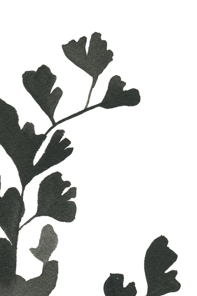 Botanical Specimen no. 2 Print