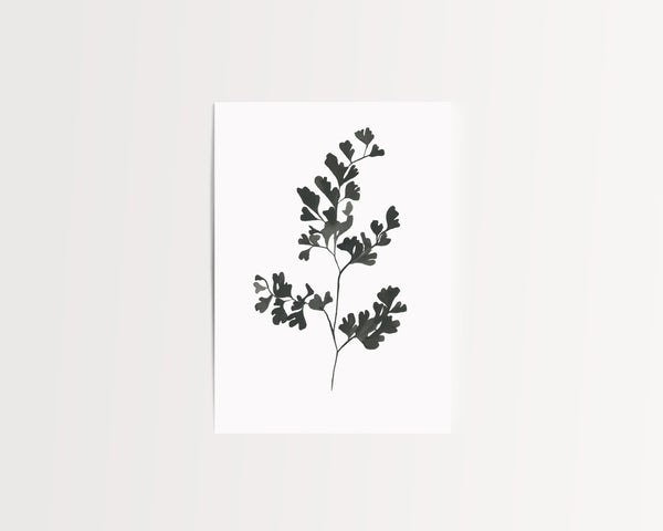 Botanical Specimen no. 2 Print