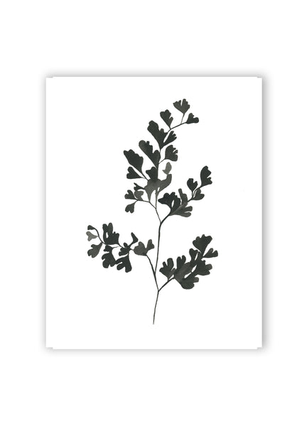 Botanical Specimen no. 2 Print