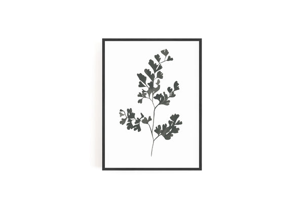 Botanical Specimen no. 2 Print