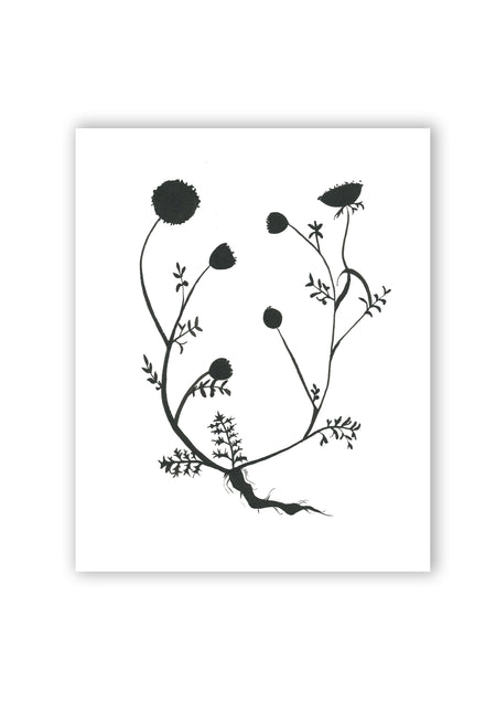 Virgo Zodiac Constellation Print