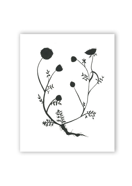 Botanical Specimen no. 3 Print