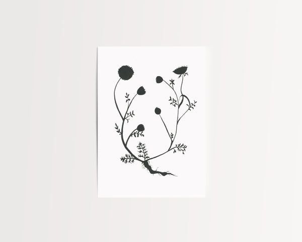 Botanical Specimen no. 3 Print