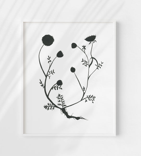 Botanical Specimen no. 3 Print