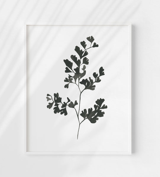Botanical Specimen no. 2 Print