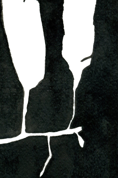 Pressed Seaweed no. 6 Print