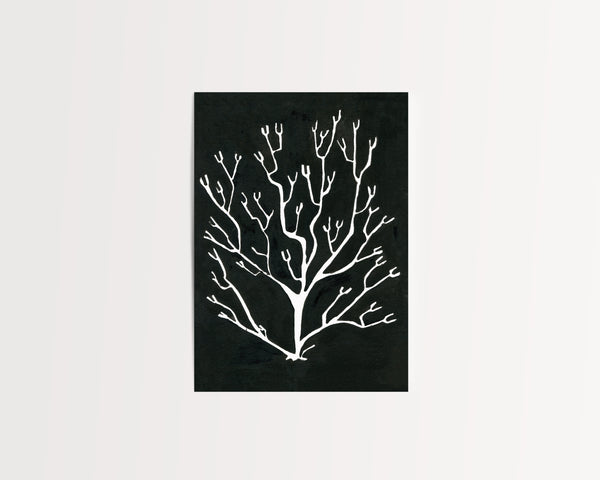 Pressed Seaweed no. 3 Print