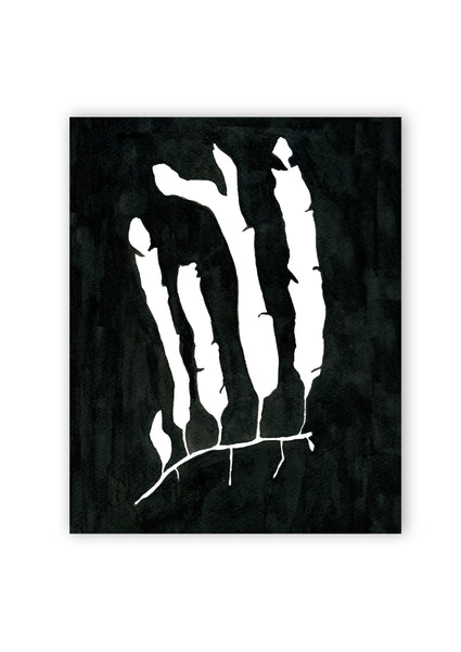 Pressed Seaweed no. 6 Print