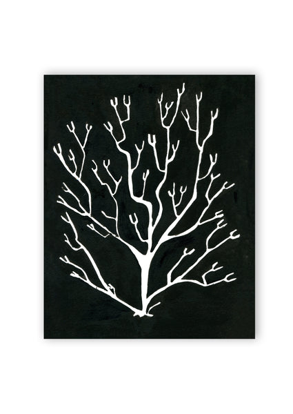 Pressed Seaweed no. 3 Print