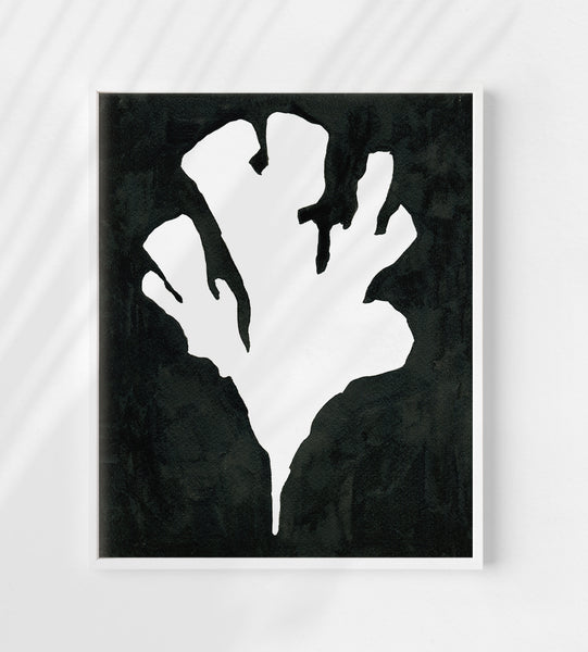 Pressed Seaweed no. 5 Print