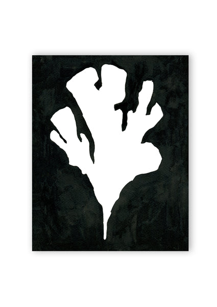 Pressed Seaweed no. 5 Print