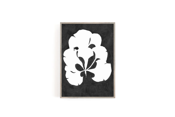 Pressed Seaweed no. 7 Print