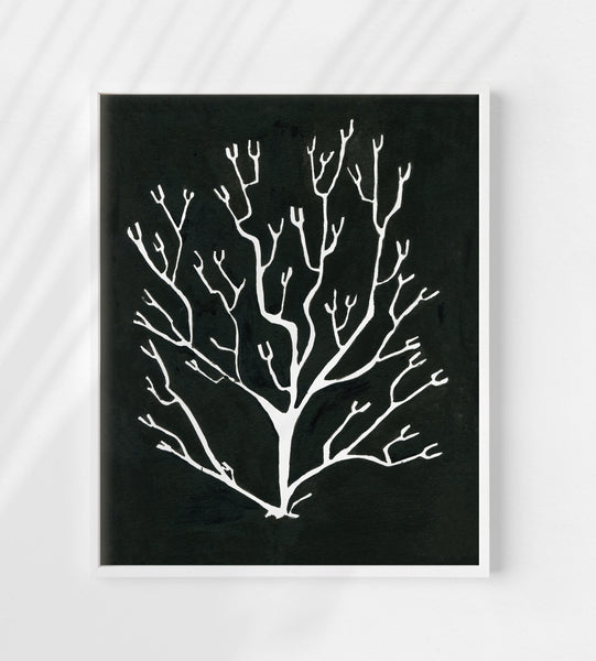 Pressed Seaweed no. 3 Print