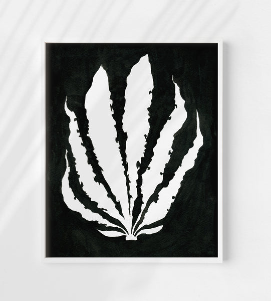 Pressed Seaweed no. 2 Print