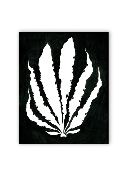 Pressed Seaweed no. 2 Print