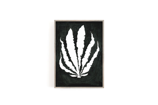 Pressed Seaweed no. 2 Print