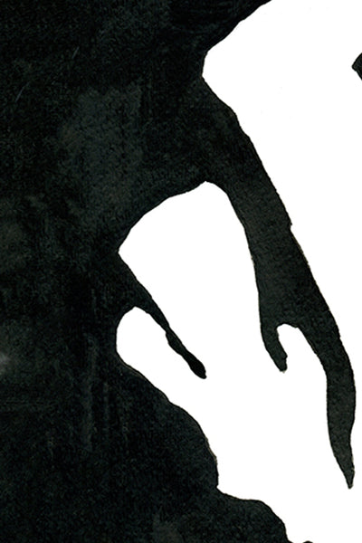 Pressed Seaweed no. 5 Print